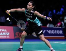 IM体育官网入口-丹麦队碾压韩国队，戴资颖高光表现的简单介绍