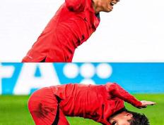 IM体育官网-日本队绝杀法国队，郑思维高光表现的简单介绍