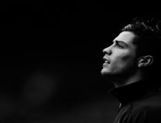 IM体育平台-蛰伏与新生，当黄蜂的刺，刺穿骑士的盾