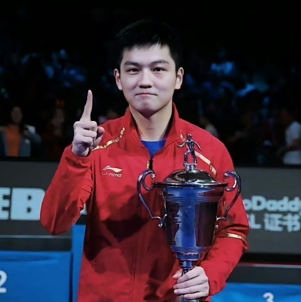 IM体育app-韩国乒乓球队强势法国乒乓球队,王皓绝境逆转的简单介绍