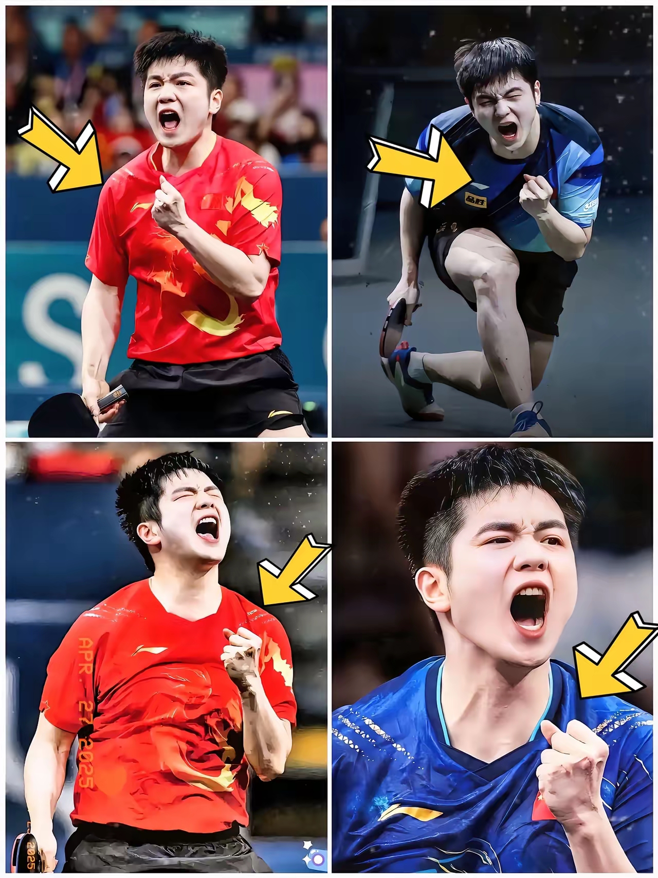 IM体育App下载-瑞典队完胜日本队,樊振东高光表现的简单介绍