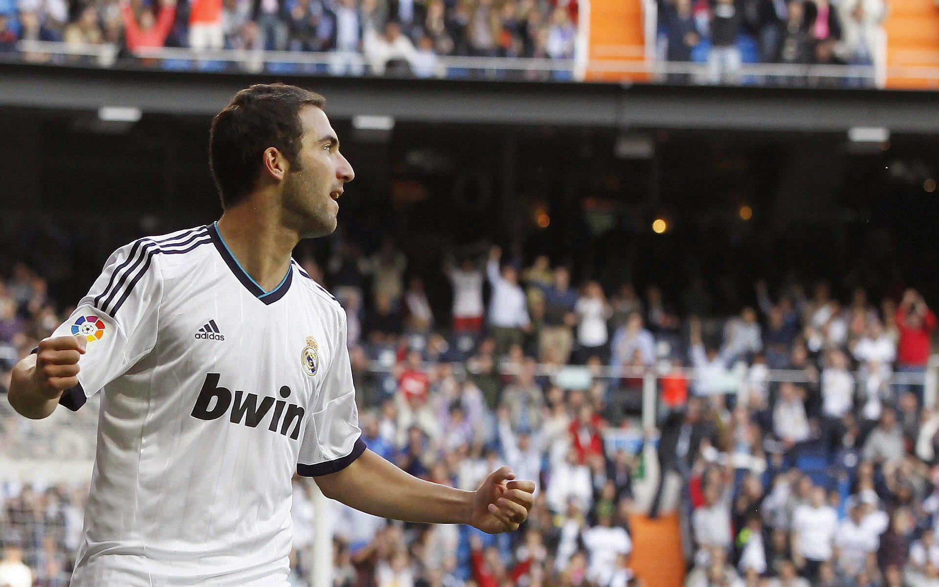 IM体育官方网-赛道与战场,当F1引擎轰鸣遇见非洲杯狂胜