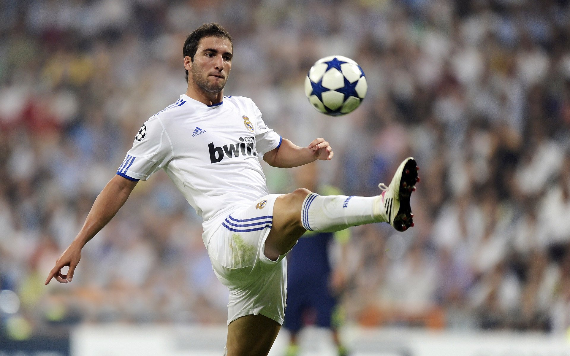 IM体育动画直播通道-从美加墨世界杯焦点战到广东队收割雄鹿，体育竞技中的战术传承与跨界启示