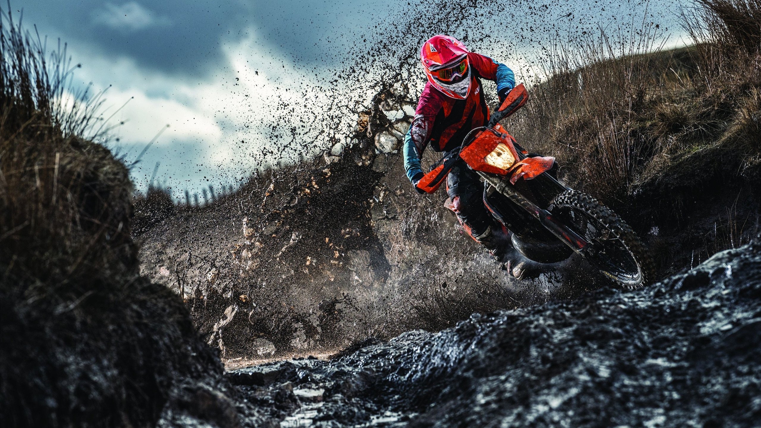 IM体育社区互动入口-骑士东征，浙军西行，杰伦·格林用统治级数据重写联盟剧本